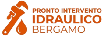 Logo Bergamo