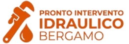 Logo Bergamo